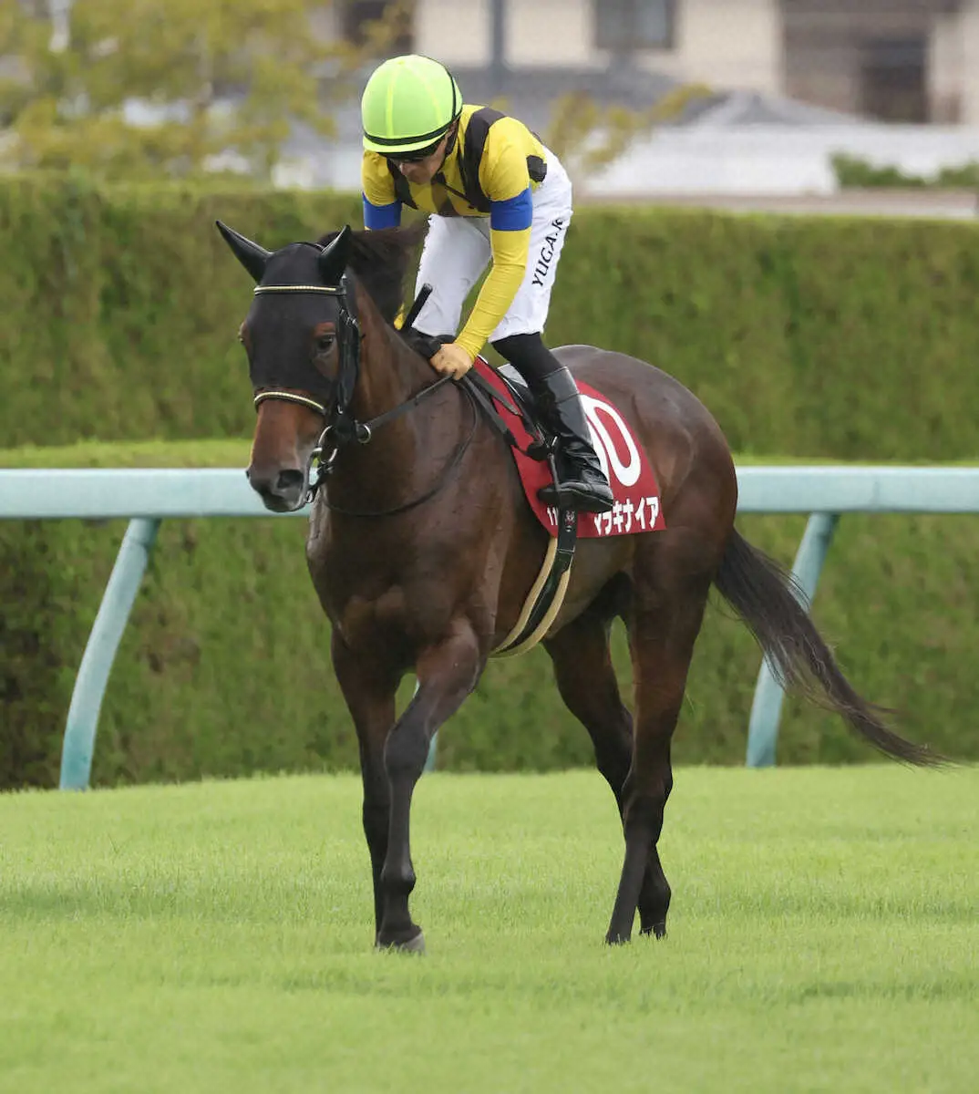 ＜阪神11R・ローズS＞3着のマラキナイア（撮影・亀井　直樹）