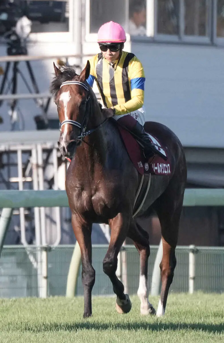 ＜セントライト記念＞2着だったソールオリエンス（撮影・郡司　修）