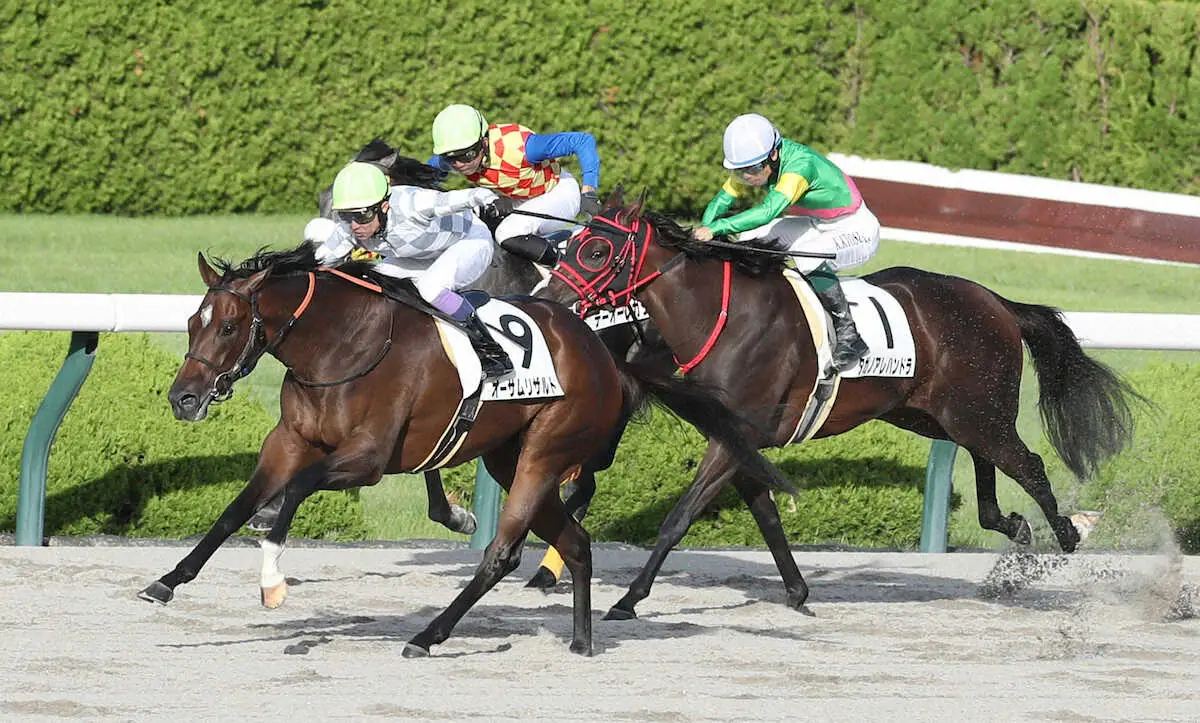 ＜阪神12R＞直線で抜け出したオーサムリザルト（左）（撮影・平嶋　理子）