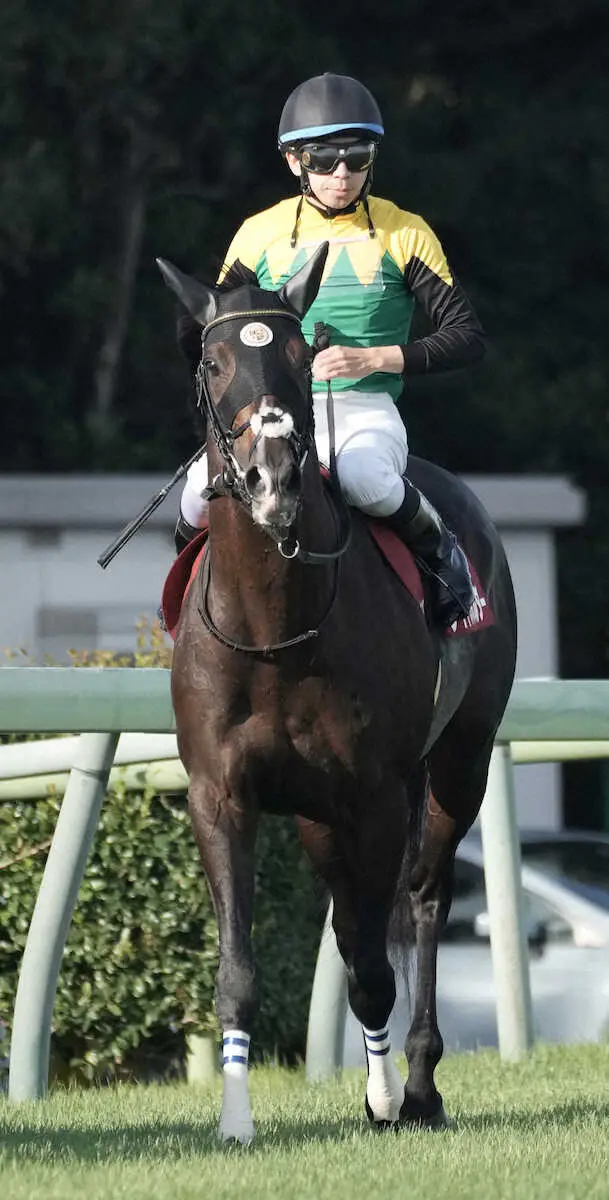 ＜オールカマー＞2着でレースを終えたタイトルホルダー（撮影・郡司　修）