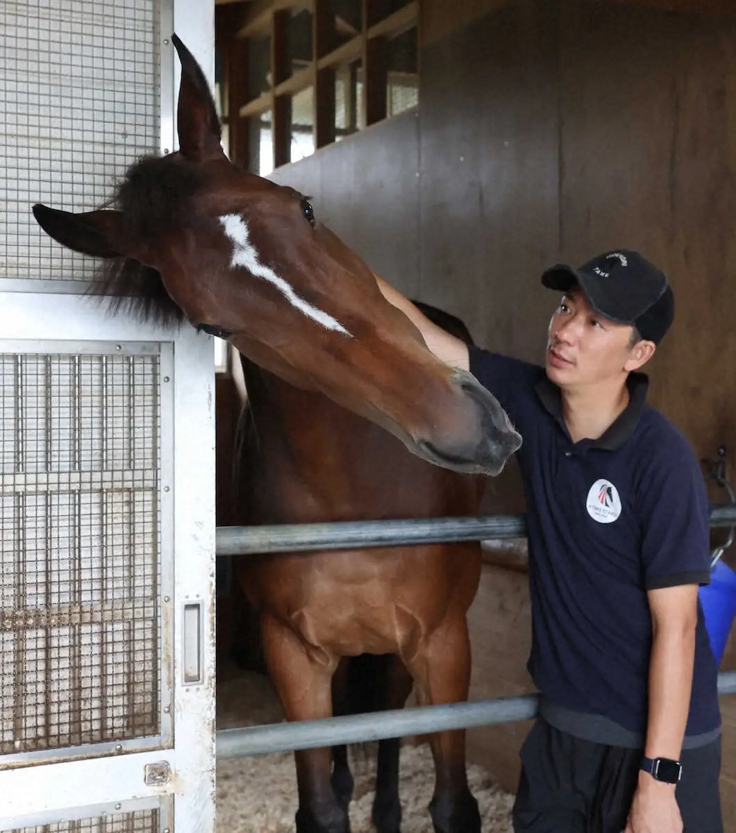 武英智調教師に首筋を撫でられ気持ちよさげなメイケイエール（撮影・亀井　直樹）