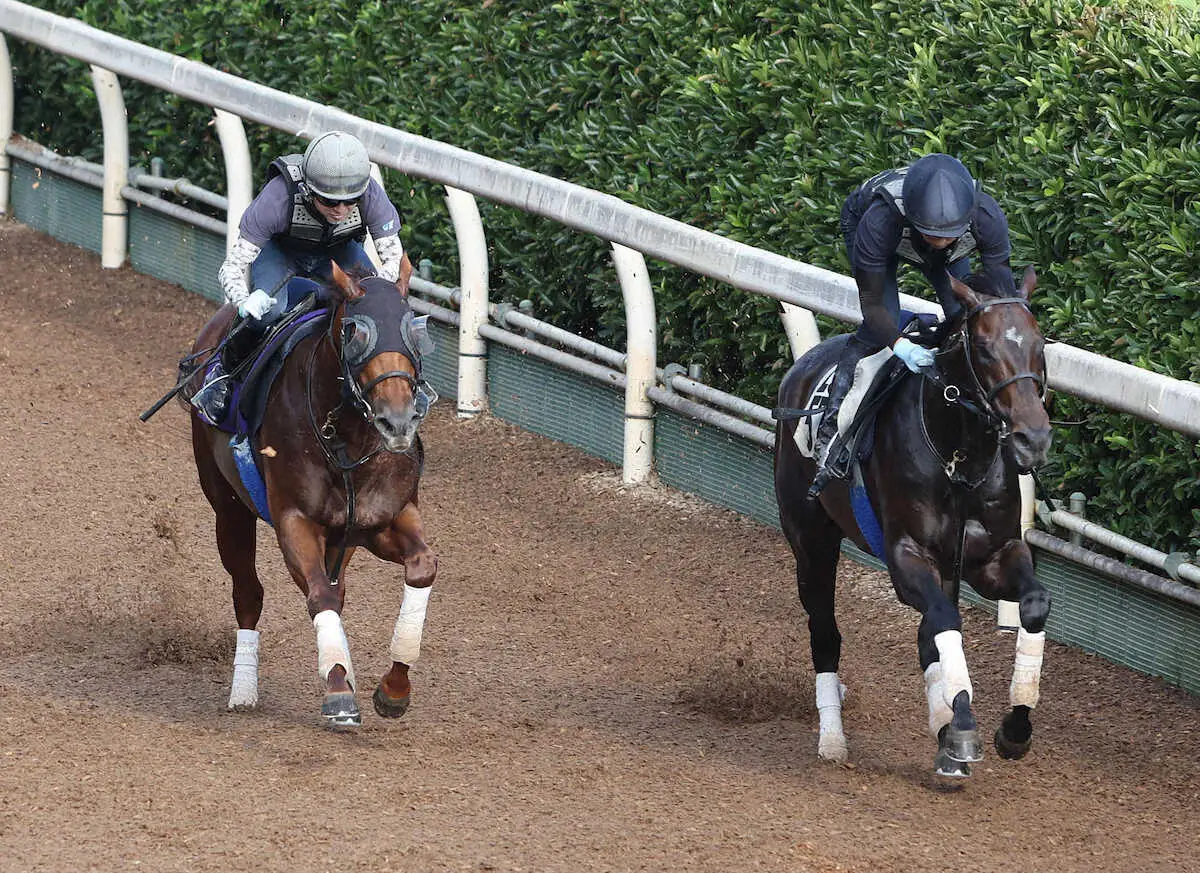 坂路をルクルト（右）と併せ馬で追い切るエイシンスポッター