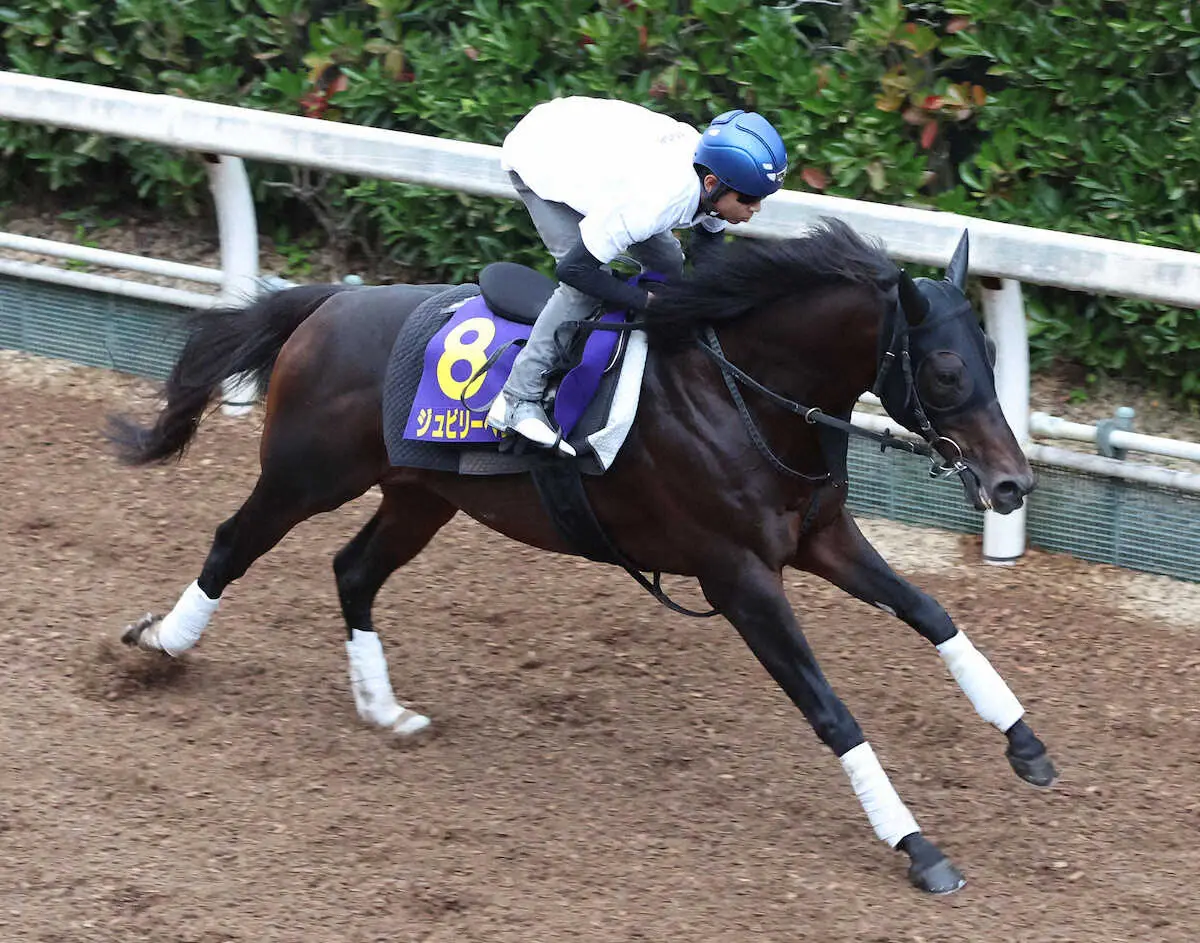 北村友一を背に坂路を単走で追い切るジュビリーヘッド