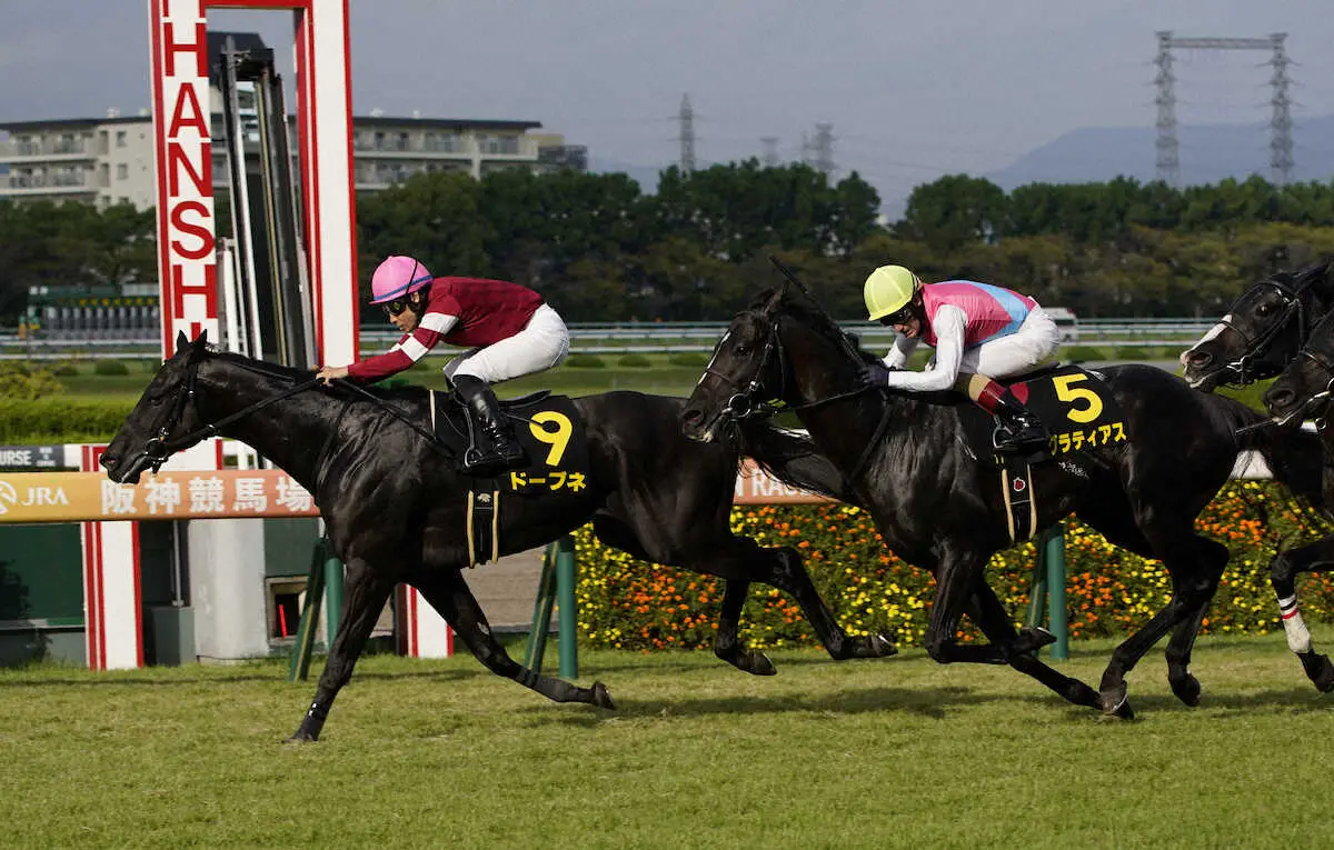 ＜ポートアイランドS＞勝利したドーブネ（左）（撮影・中辻　颯太）