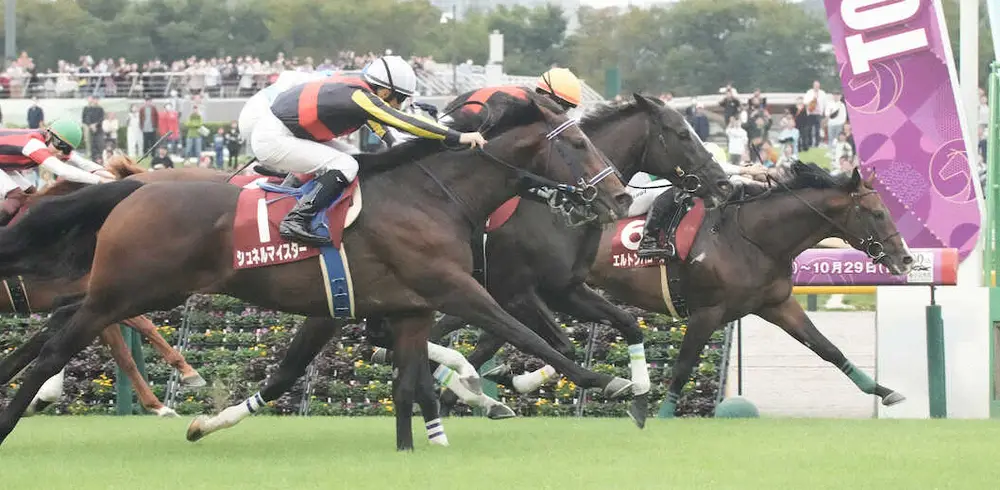 ＜東京競馬11R　毎日王冠＞レースを制したエルトンバローズ（右）2着のソングライン（中央）3着シュネルマイスター（左）（撮影・郡司　修）