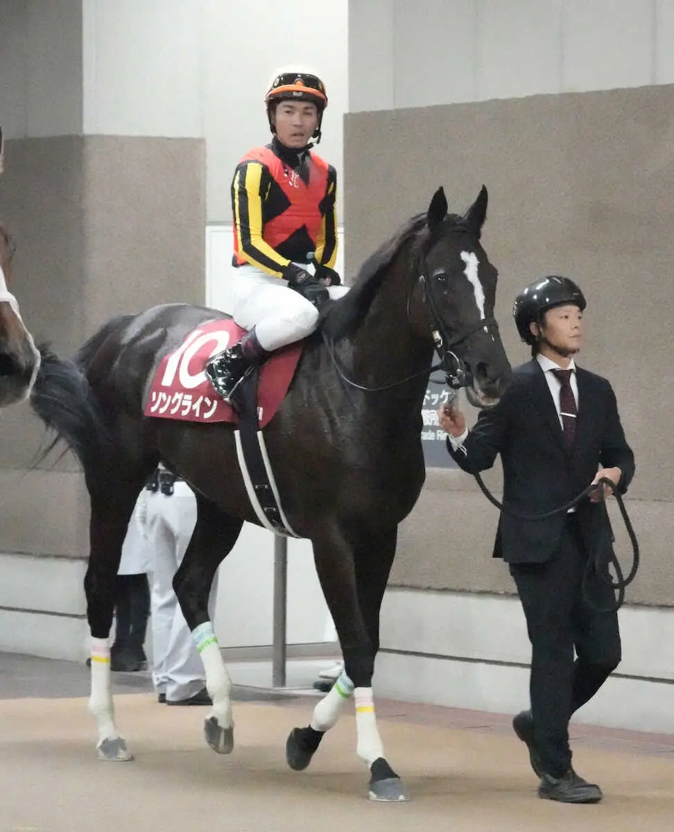 ＜毎日王冠＞2着でレースを終えたソングライン（撮影・郡司　修）