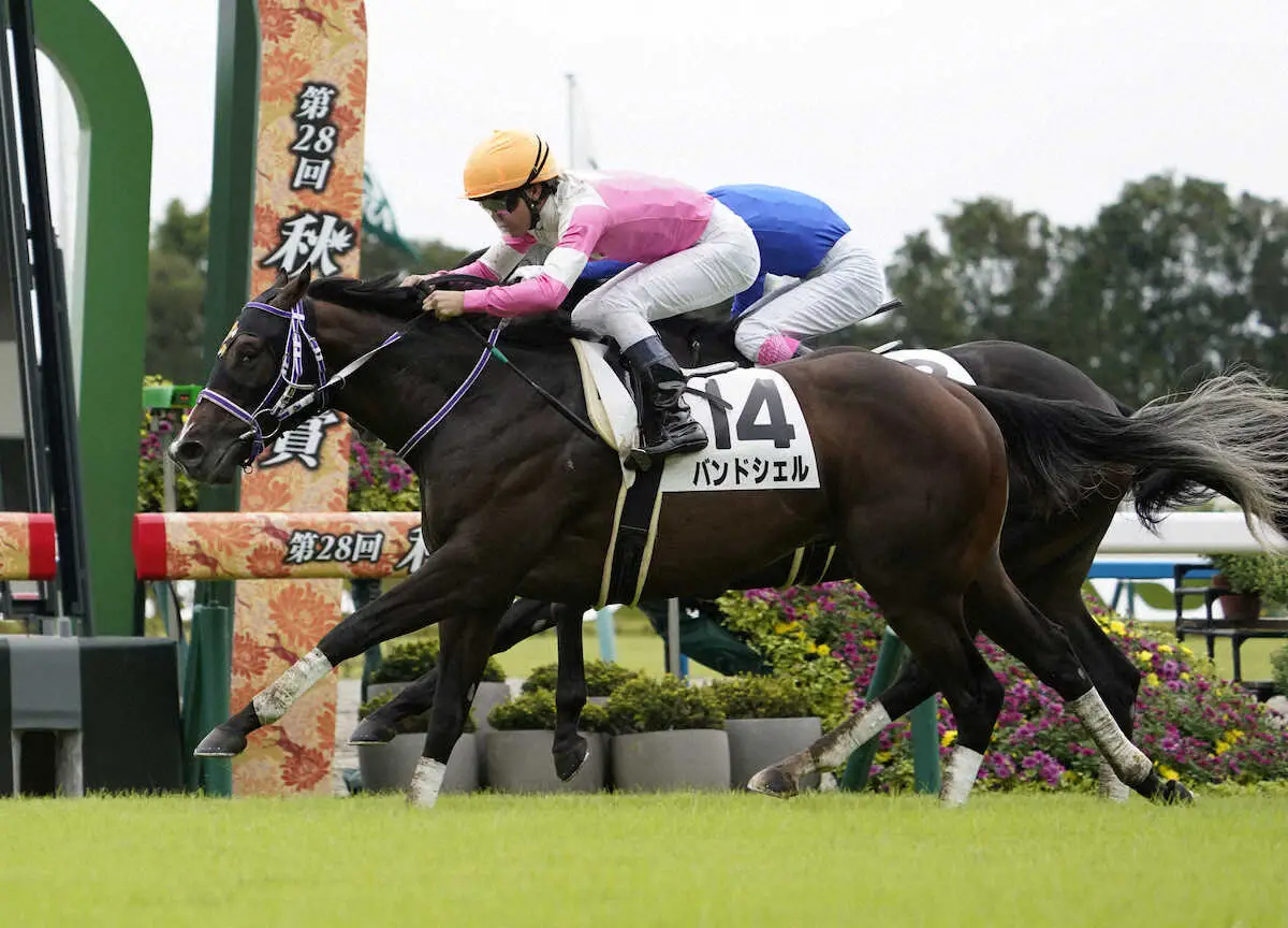 ＜京都4R＞勝利したバンドシェル（撮影・中辻　颯太）