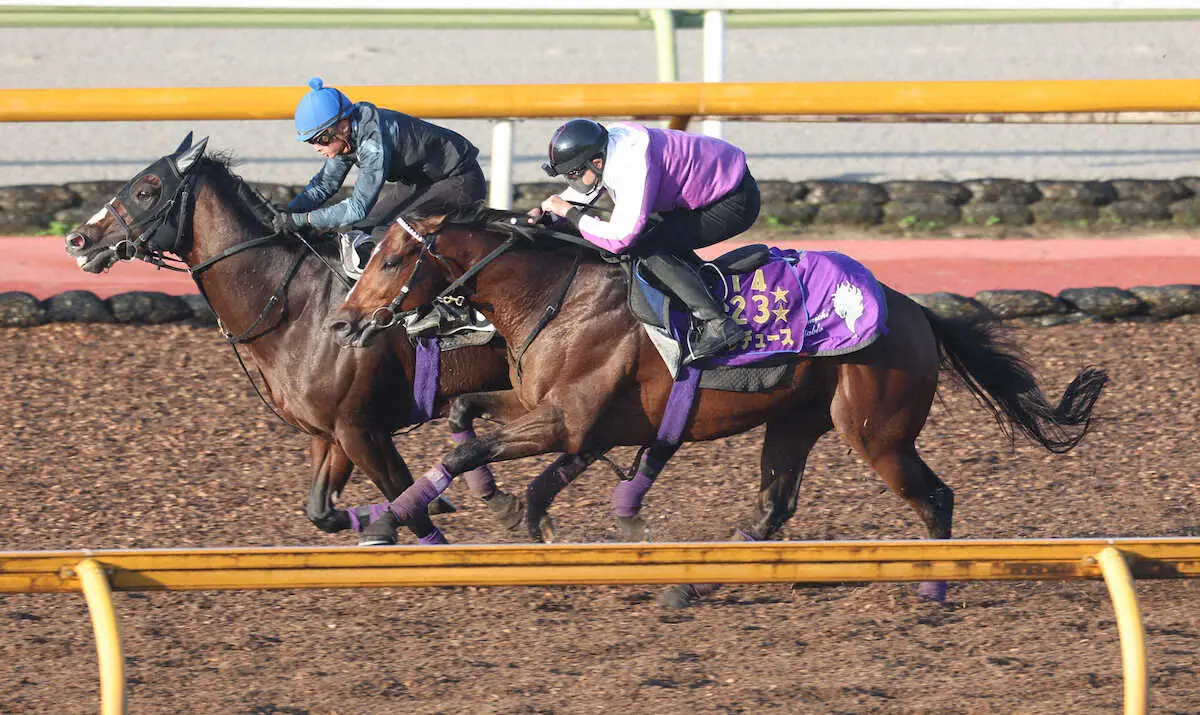 CWコースで追い切るドウデュース（右）（撮影・亀井　直樹）