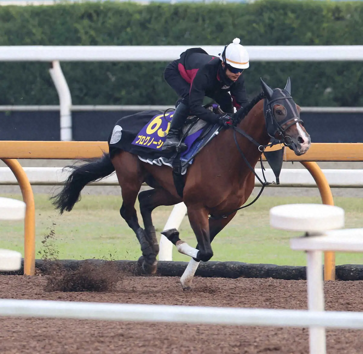 CWコースで追い切るプログノーシス（撮影・亀井直樹）