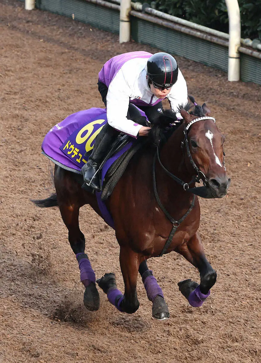 坂路を単走で追い切るドウデュース