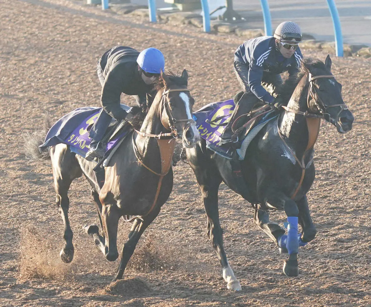 モレイラを背にしたダノンベルーガ（左）はヒシイグアスと併せて追い切る（撮影・村上　大輔）