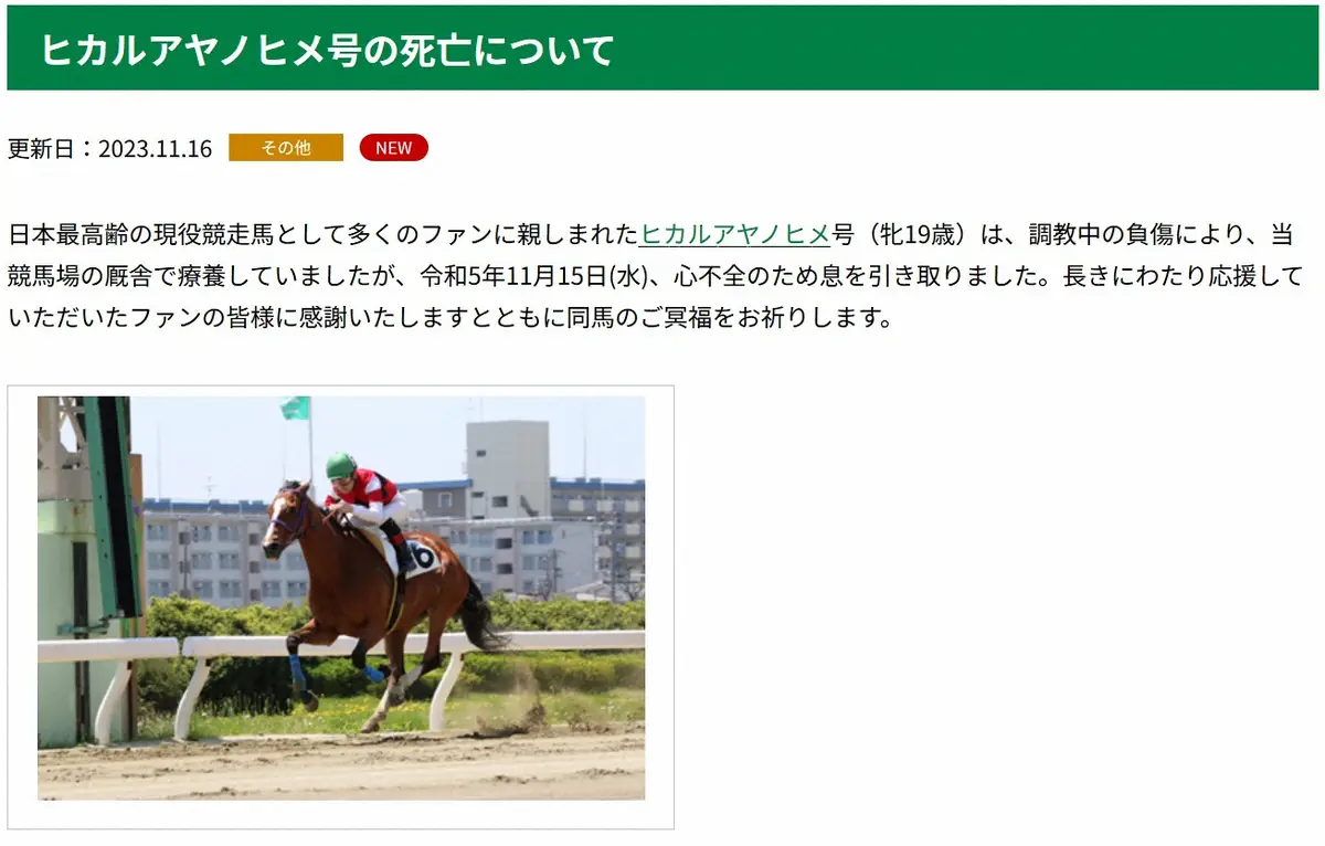 名古屋競馬公式サイトから