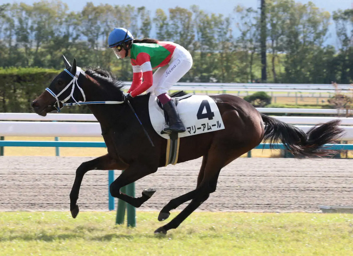 ＜京都5R＞デビュー勝ちを飾った3番人気のマリーアムール撮影・坂田　高浩）