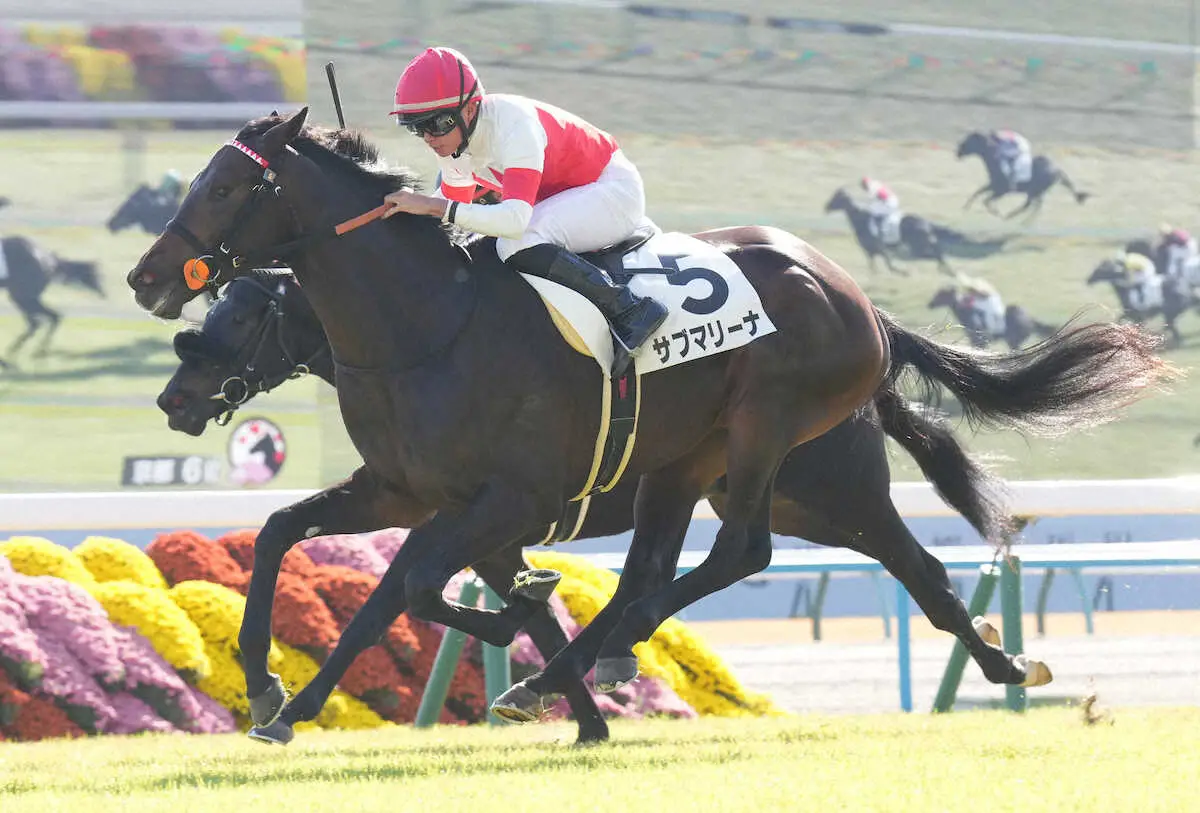 ＜京都6R＞勝利したサブマリーナ