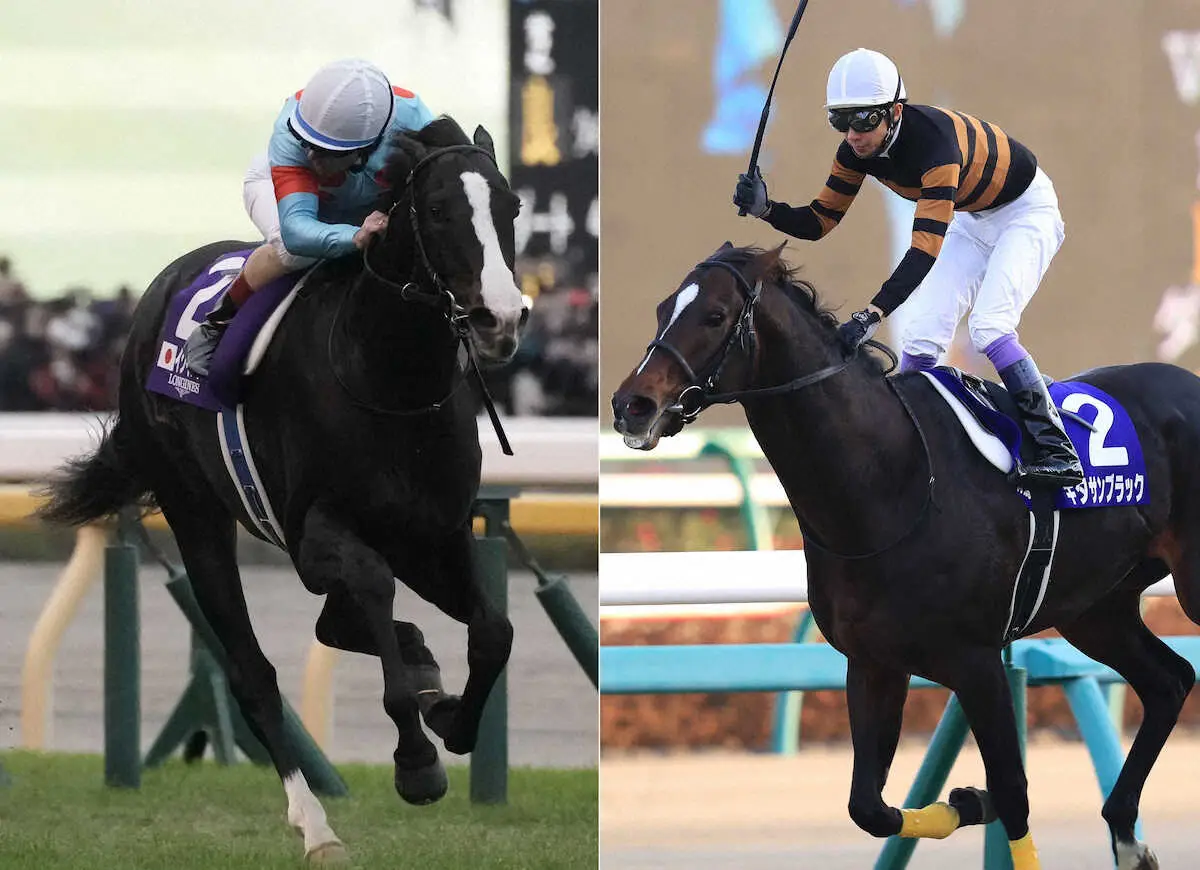 イクイノックス（左）とキタサンブラック