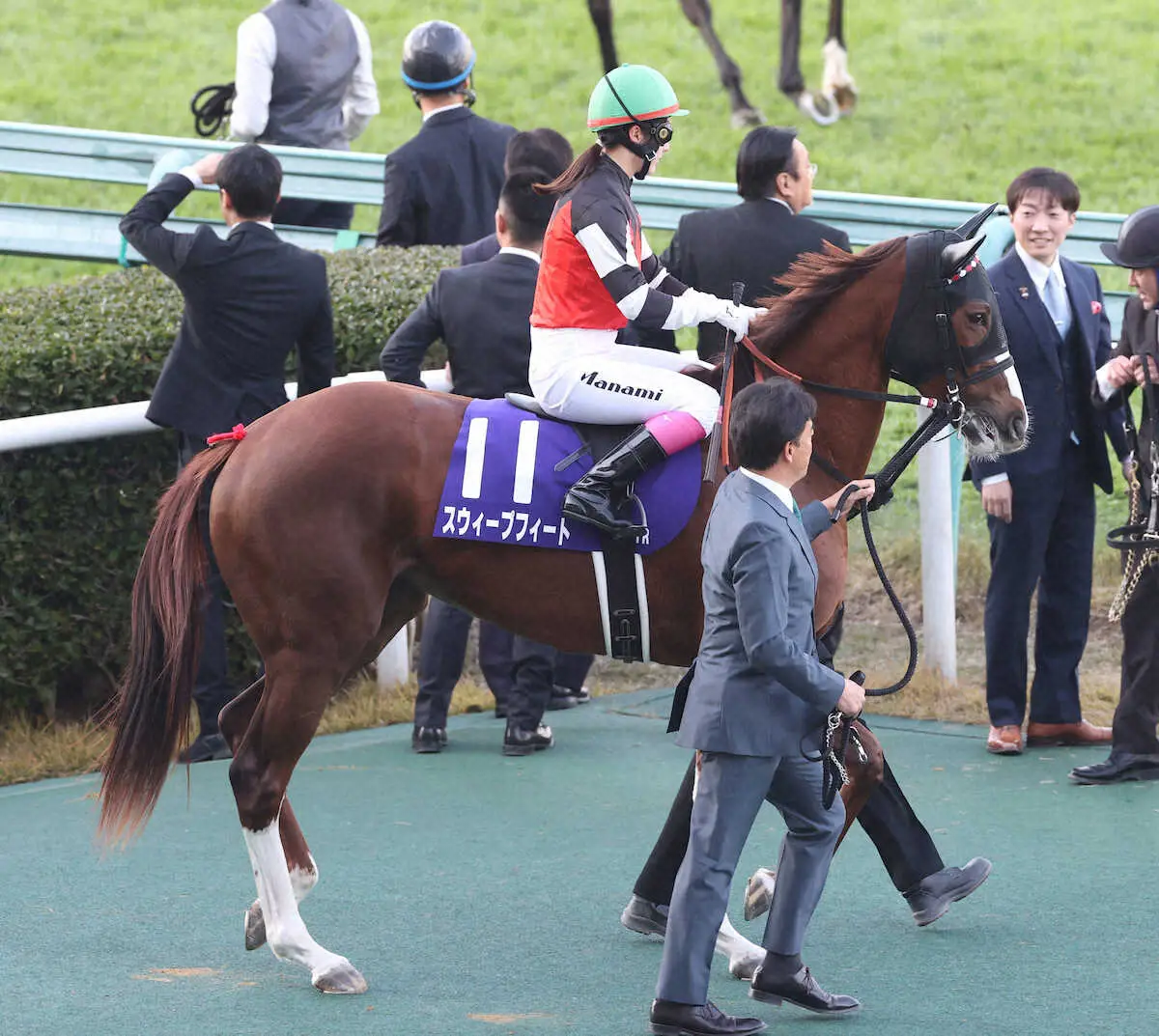 ＜阪神JF＞馬場入場する永島まなみ騎乗のスウィープフィート（撮影・平嶋　理子）