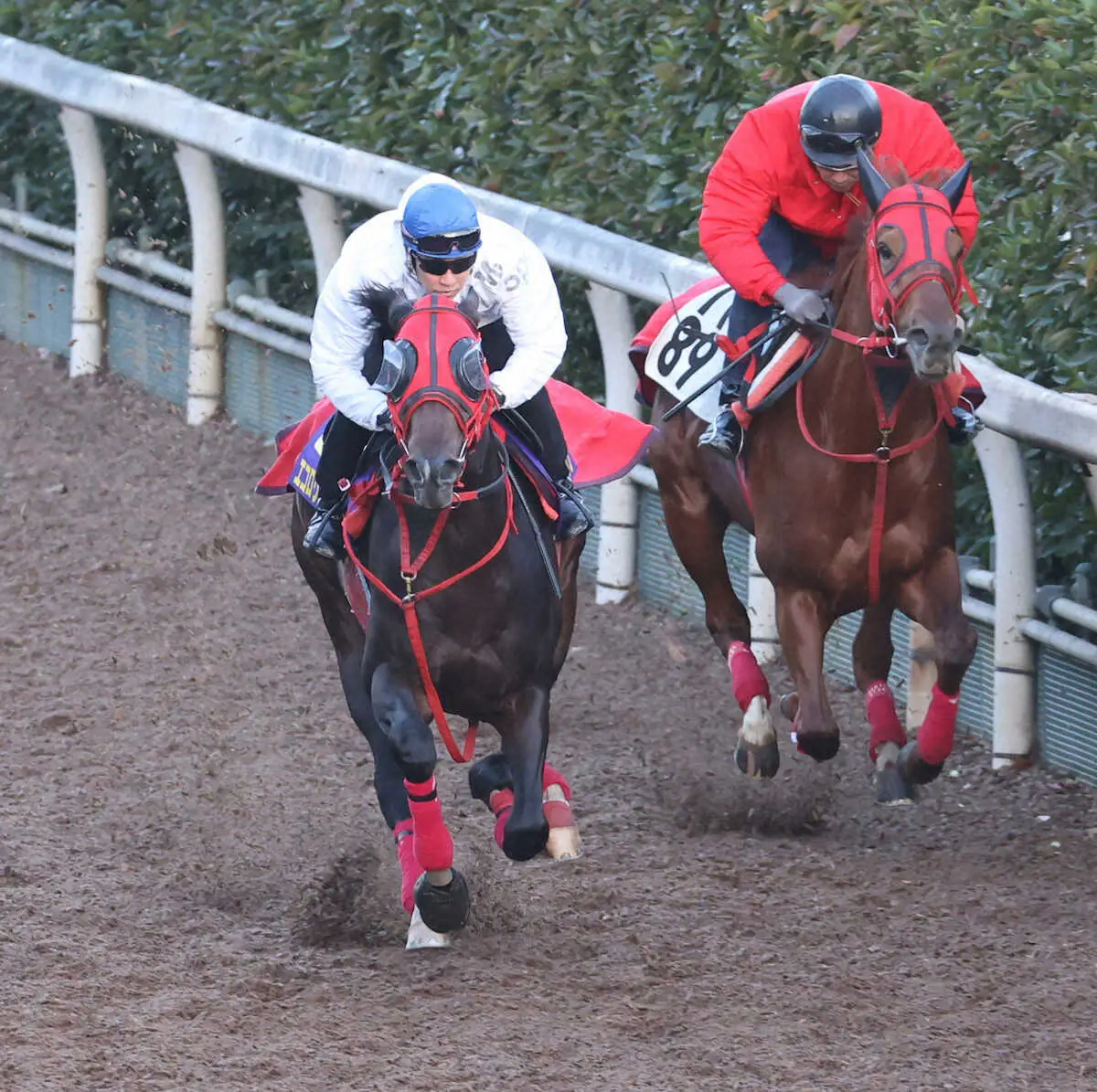 武豊を背に坂路にて併せ馬で追い切るエコロヴァルツ（左）（撮影・亀井直樹）