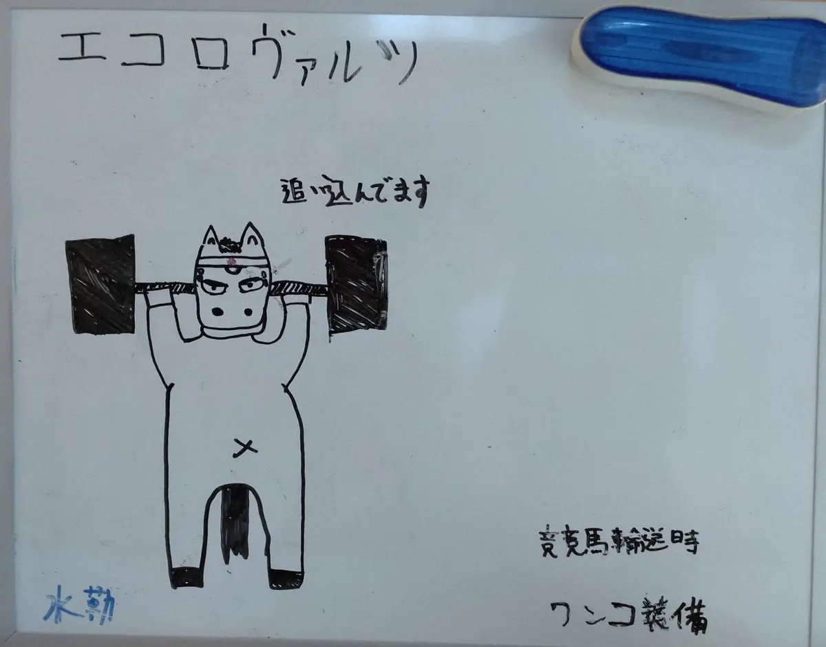 山田助手が描いたエコロヴァルツのイラスト