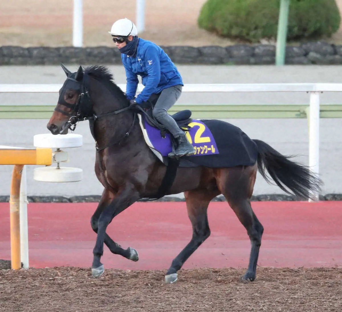 浜中俊を背に馬場入りするタイキヴァンクール