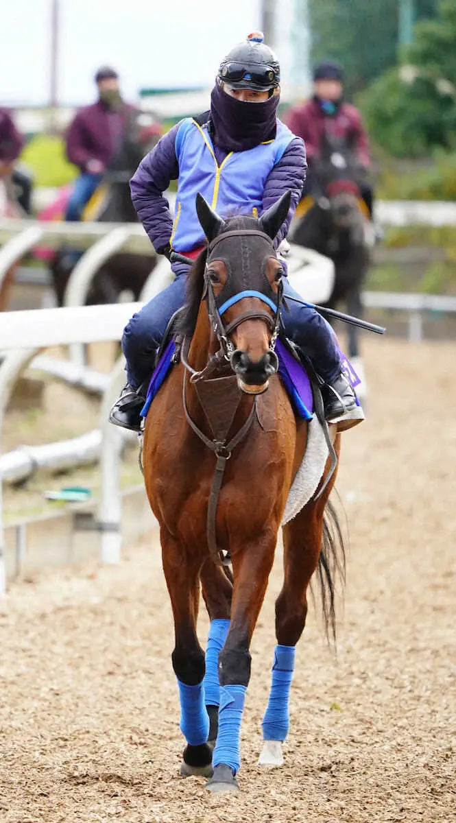 坂路で調整したスルーセブンシーズ（撮影・村上大輔）