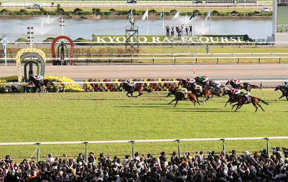 今年の菊花賞、優勝したドゥレッツァ、2着のタスティエーラ、3着のソールオリエンス、4着のリビアングラス（左から）