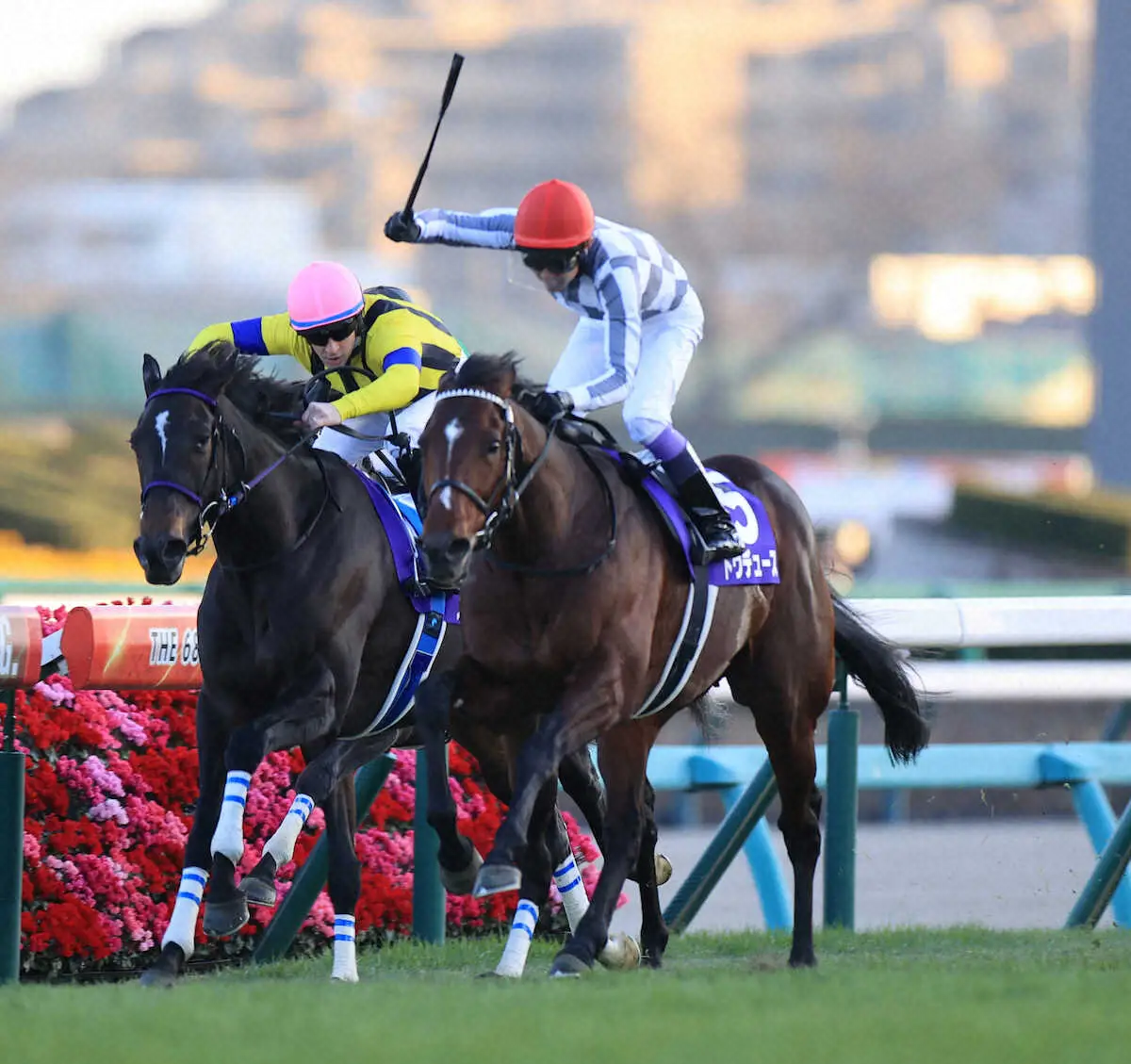 有馬記念を制したドウデュース（右）（撮影・篠原岳夫）