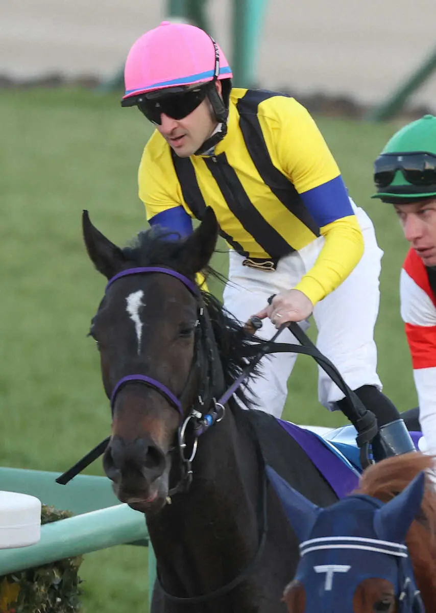 有馬記念で2着に敗れたスターズオンアース（撮影・吉田　剛）
