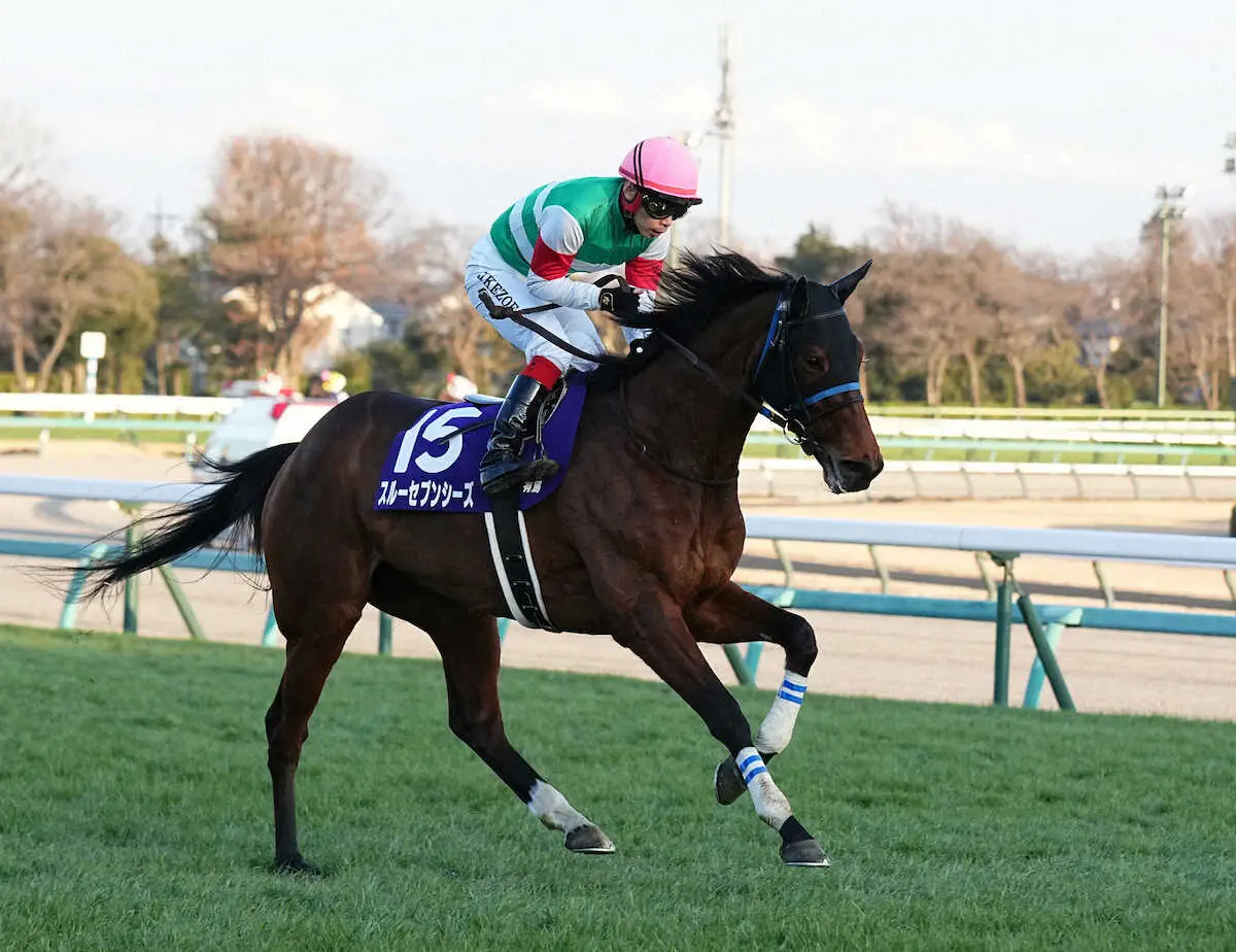 有馬記念で12着のスルーセブンシーズ（撮影・沢田　明徳）