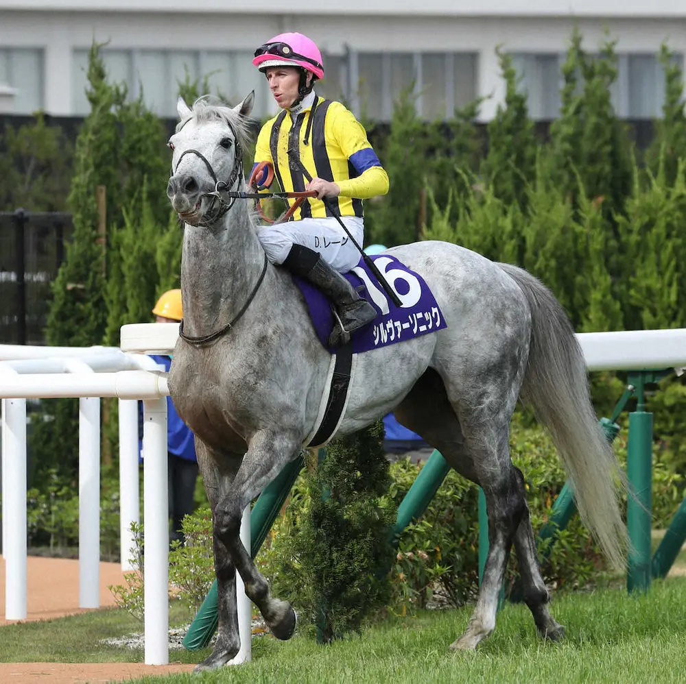 天皇賞（春）で3着だったシルヴァーソニック