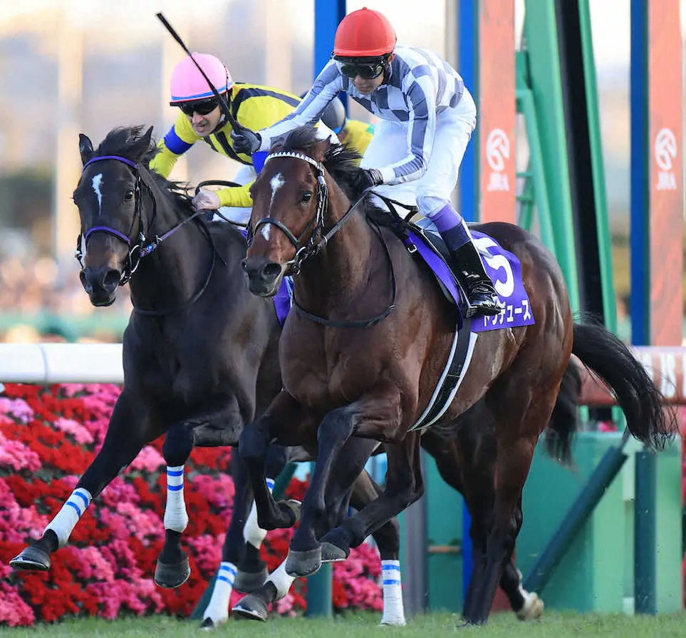 12月、有馬記念を制したドウデュースと武豊（右）