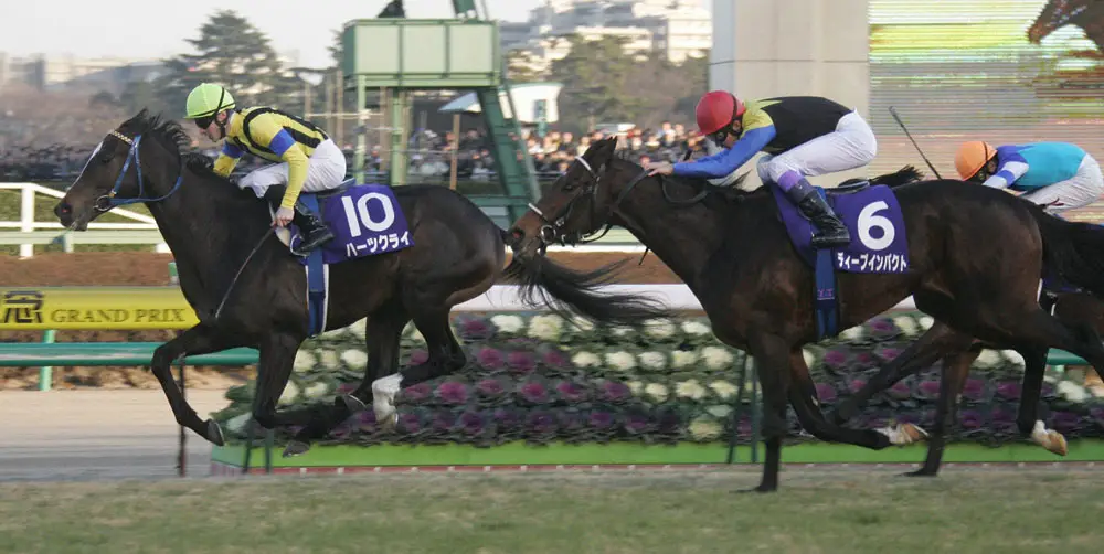 05、ディープインパクト（右）を破り有馬記念を制したハーツクライ
