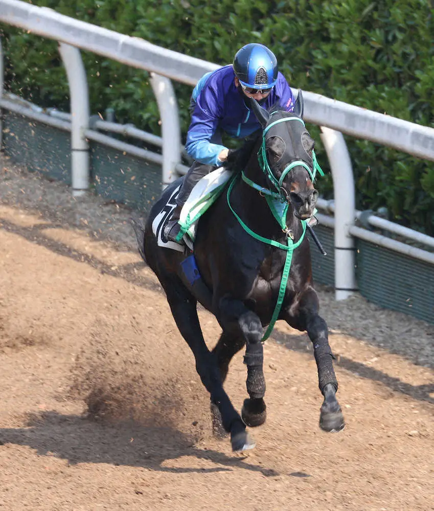 エアファンディタ