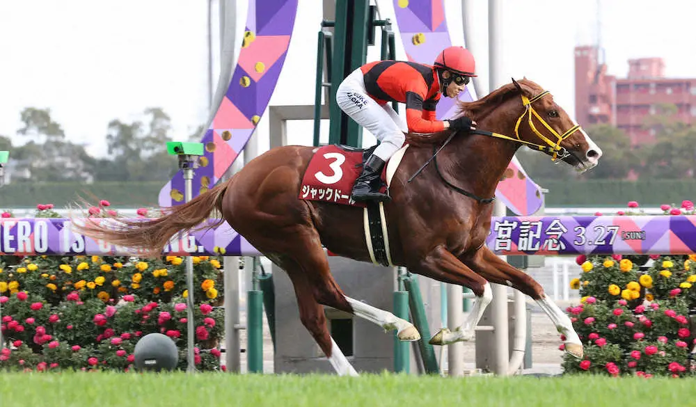 ジャックドール（22年3月撮影）