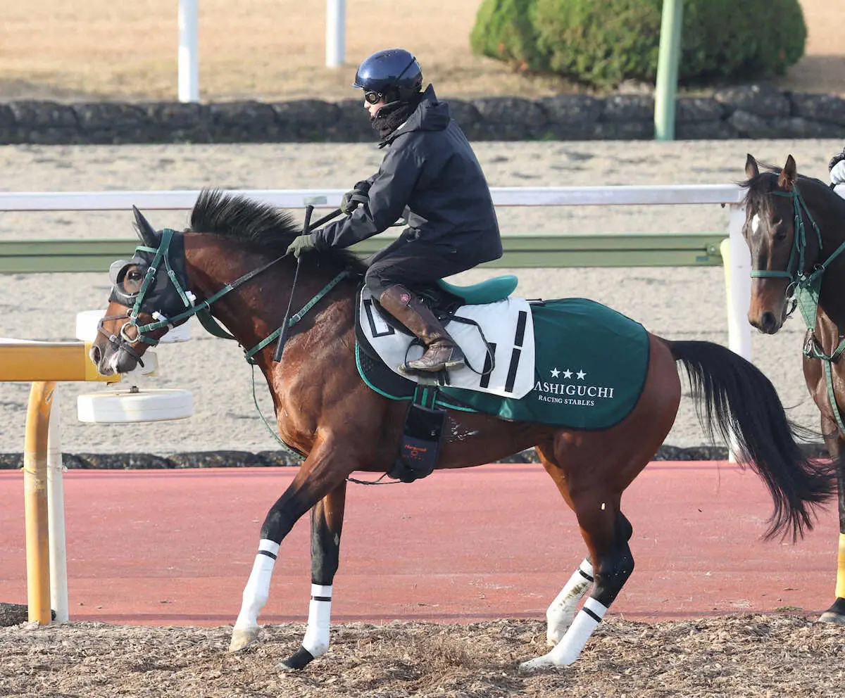 重賞初Vを狙うアルナシーム