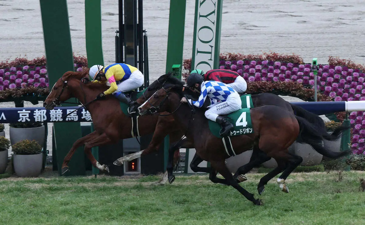 ＜京都金杯＞ゴール前で競り勝つコレペティトール（左）（撮影・平嶋　理子）