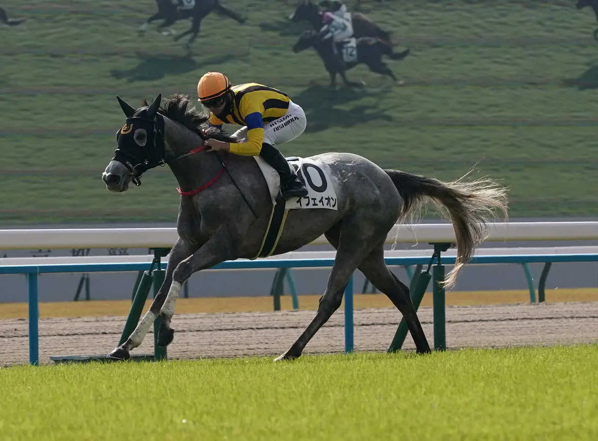 イフェイオン