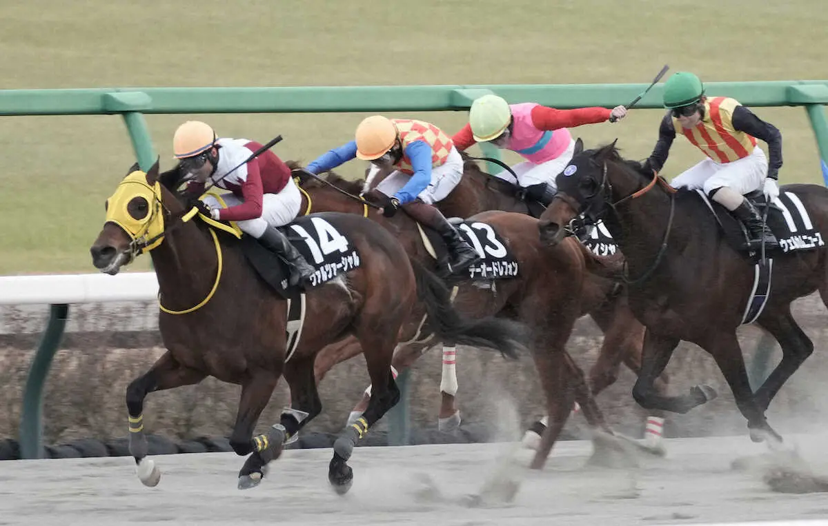＜中山10R　ポルックスS＞レースを制したヴァルツァーシャル（左端）