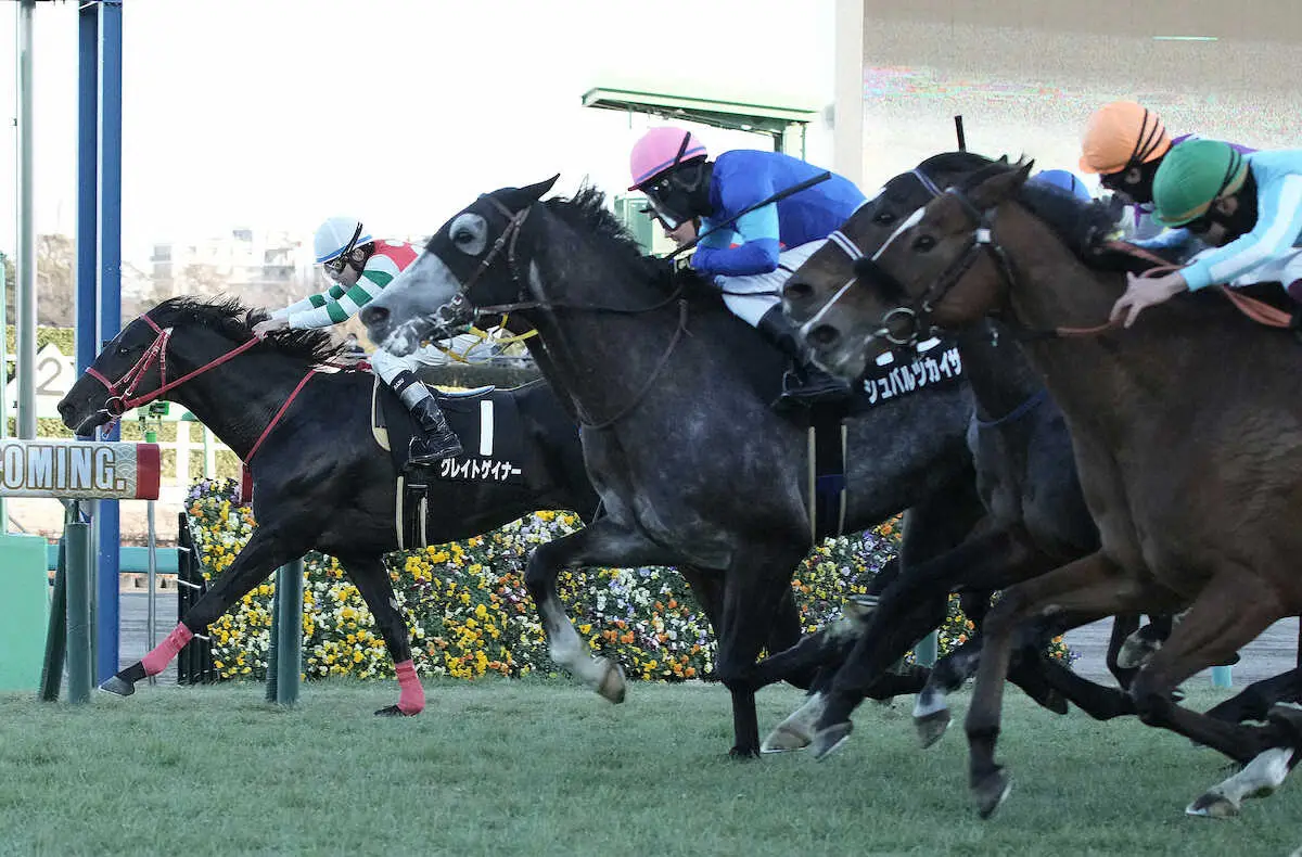 ＜カーバンクルS＞レースを制したシュバルツカイザー（左から2頭目）＝撮影・郡司　修