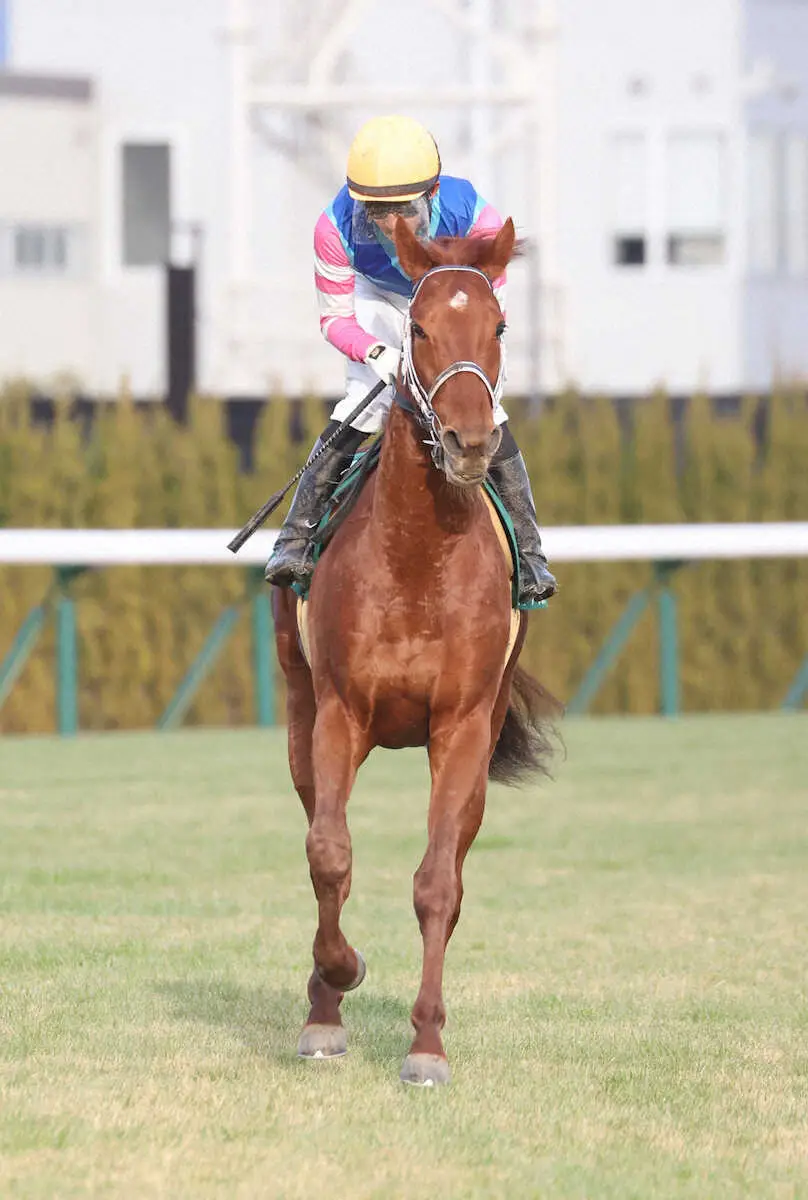 ＜シンザン記念＞17番人気で3着のウォーターリヒト（撮影・亀井　直樹）