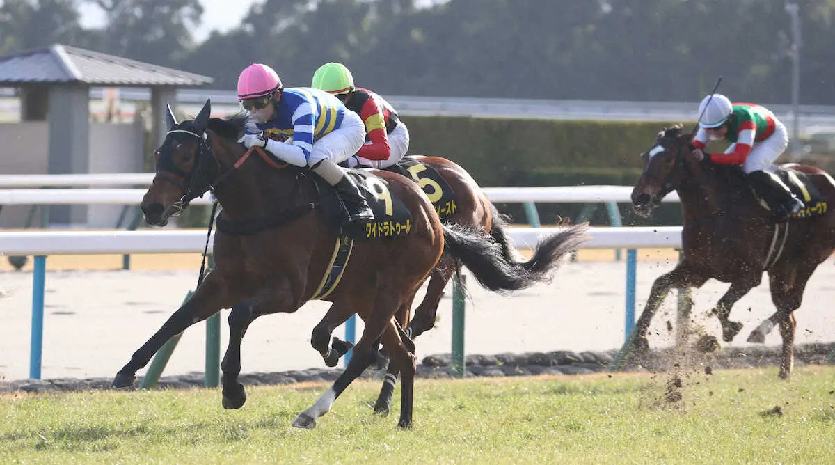 ＜紅梅S＞直線外から差し切り勝利するワイドラトゥール（左）（撮影・亀井　直樹）