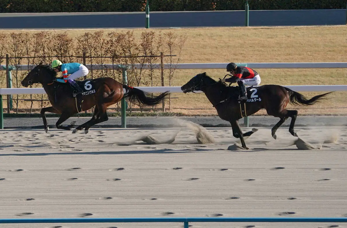 ＜雅S＞直線で抜け出して無傷の4連勝を決めたヤマニンウルス（撮影・中辻　颯太）