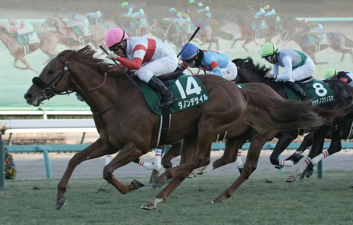＜中山11R・京成杯＞鮮やかに差し切って重賞初制覇のダノンデサイル（撮影・郡司　修）