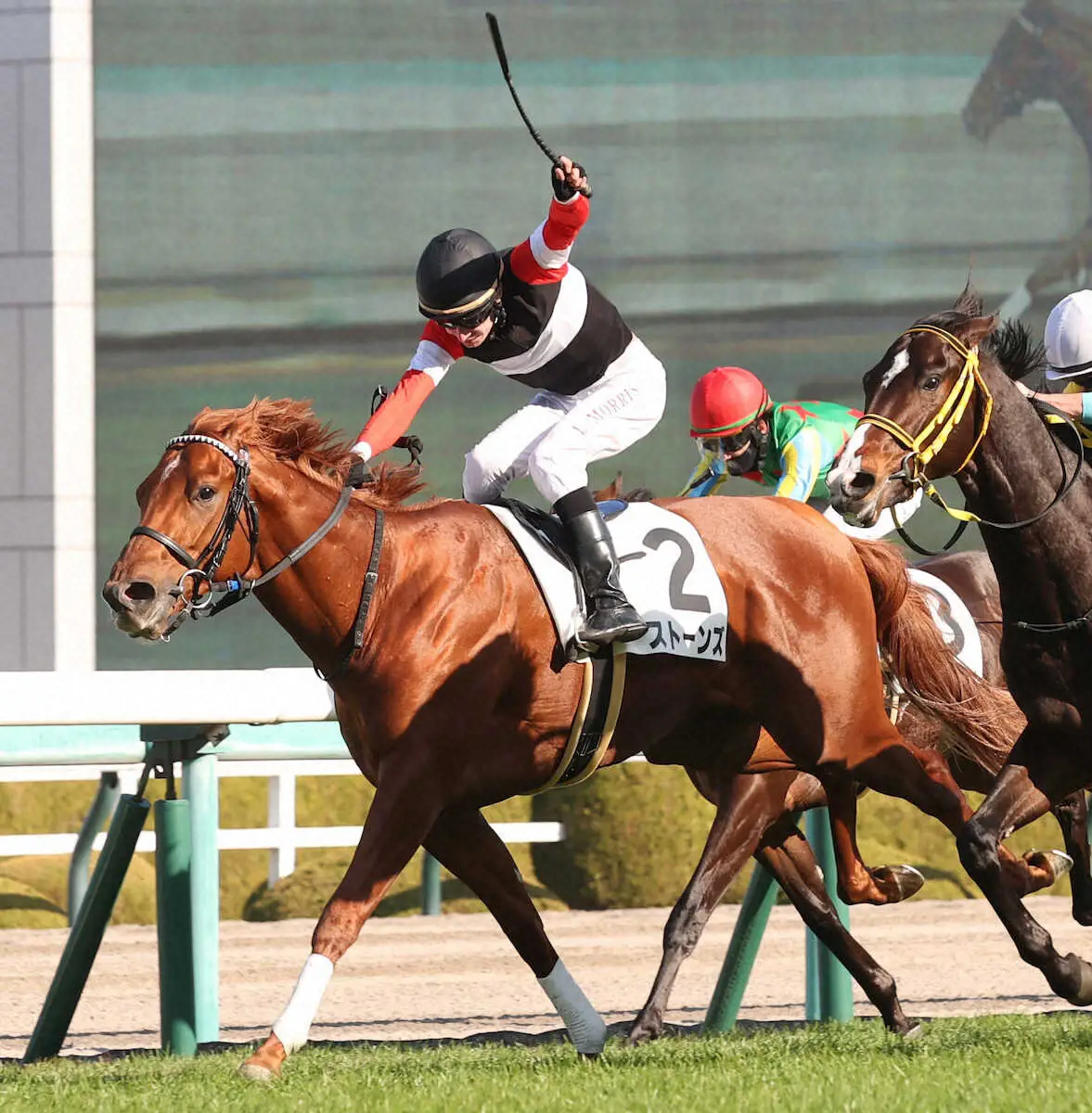 昨年12月の新馬戦を制したストーンズ