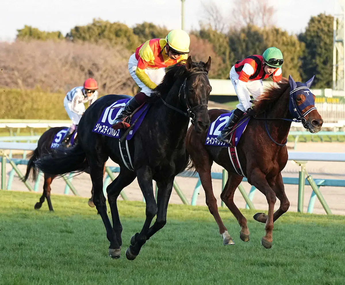 有馬記念で4着のジャスティンパレス（手前）（撮影・沢田　明徳）