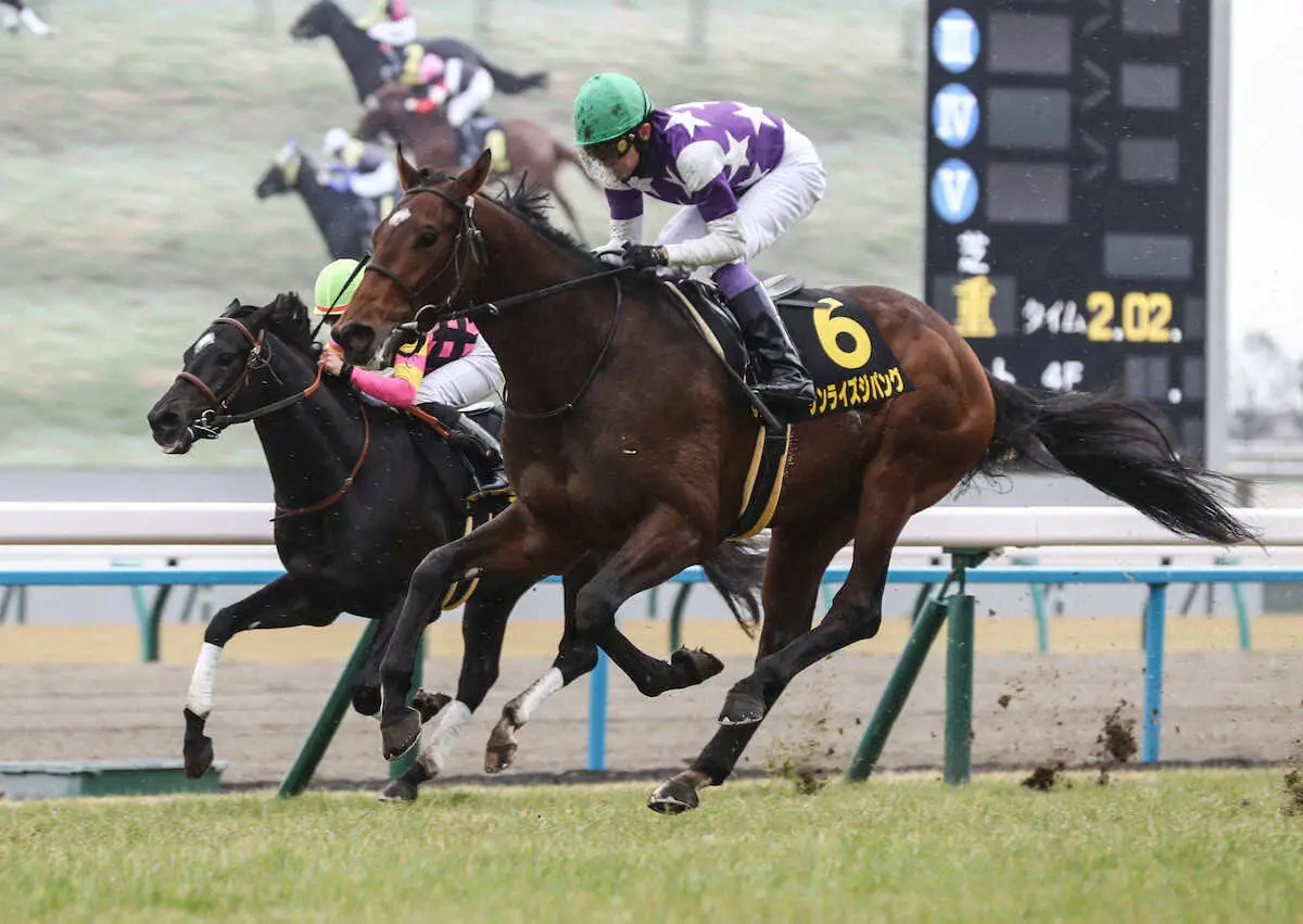 ＜若駒S＞外から差し切り勝利したサンライズジパング（撮影・中辻　颯太）