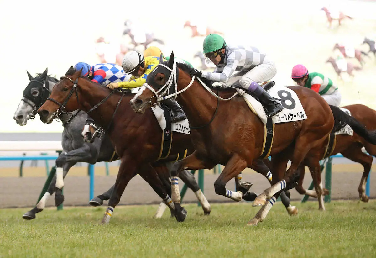 ＜京都12R＞アタマ差でレースを制したゴールドサーベル（手前）（撮影・中辻　颯太）