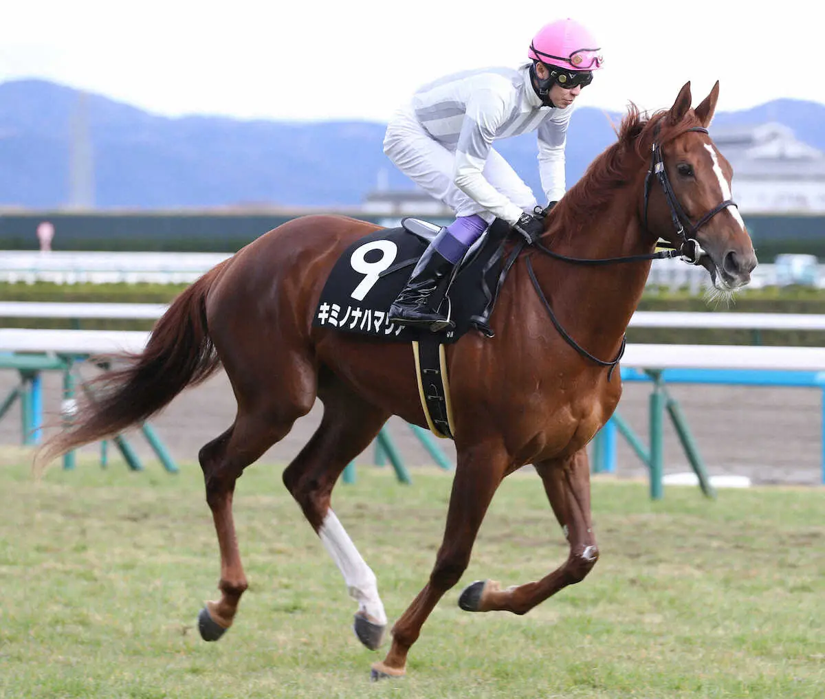 ＜北大路特別＞キミノナハマリアに騎乗し返し馬を行う武豊（撮影・中辻　颯太）