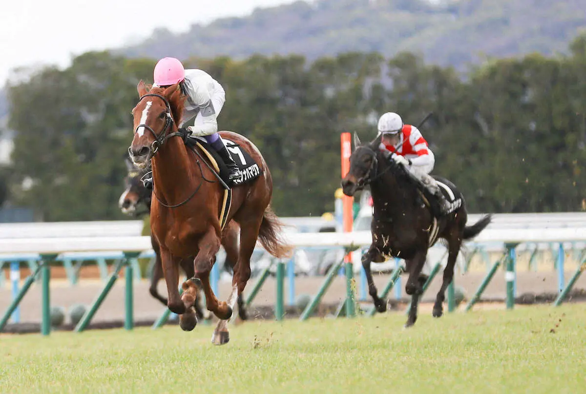＜北大路特別＞6馬身差をつけレースを制したキミノナハマリア（撮影・中辻　颯太）