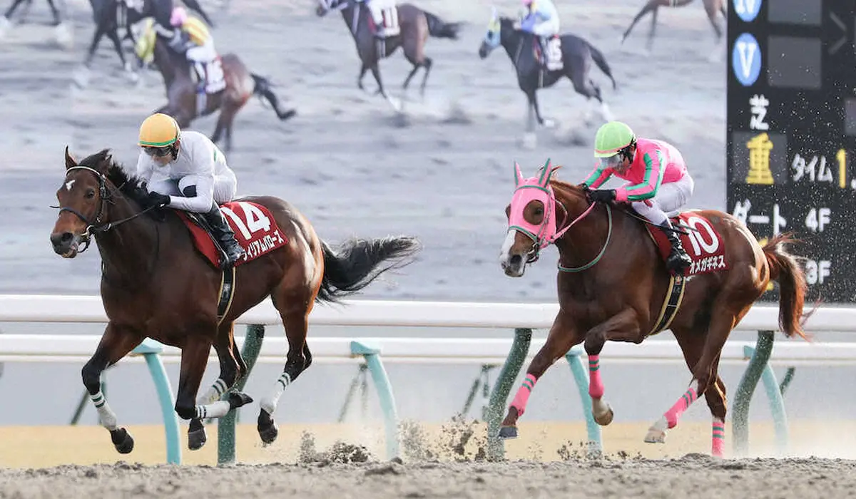 ＜京都11R　第41回東海S＞好位から抜け出したウィリアムバローズ（左）（撮影・中辻　颯太）