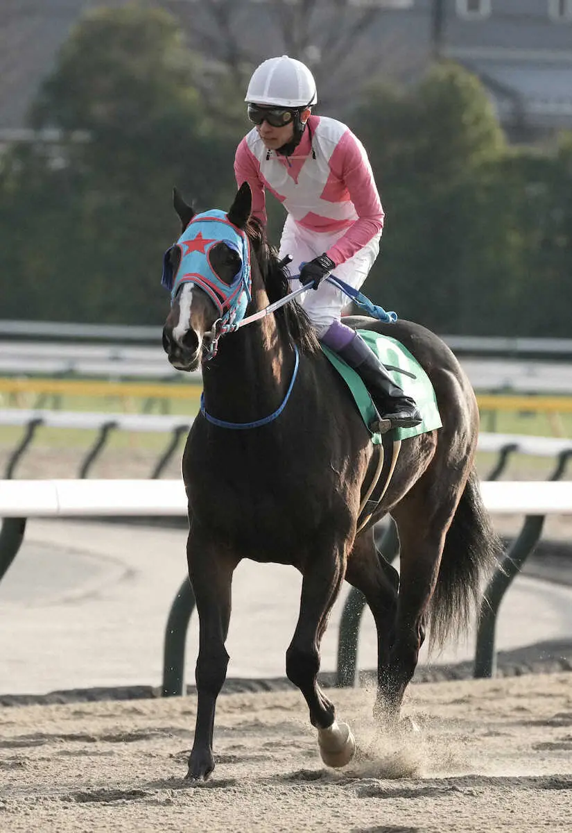 ＜根岸S＞4着でレースを終えたヘリオス（撮影・郡司　修）